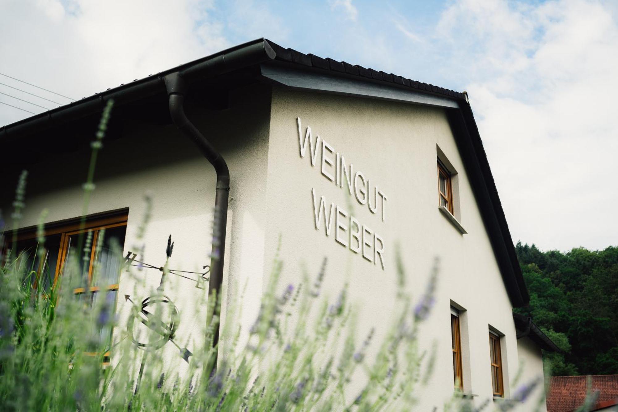 Moderne Ferienwohnung Auf Dem Weingut Monzingen Extérieur photo