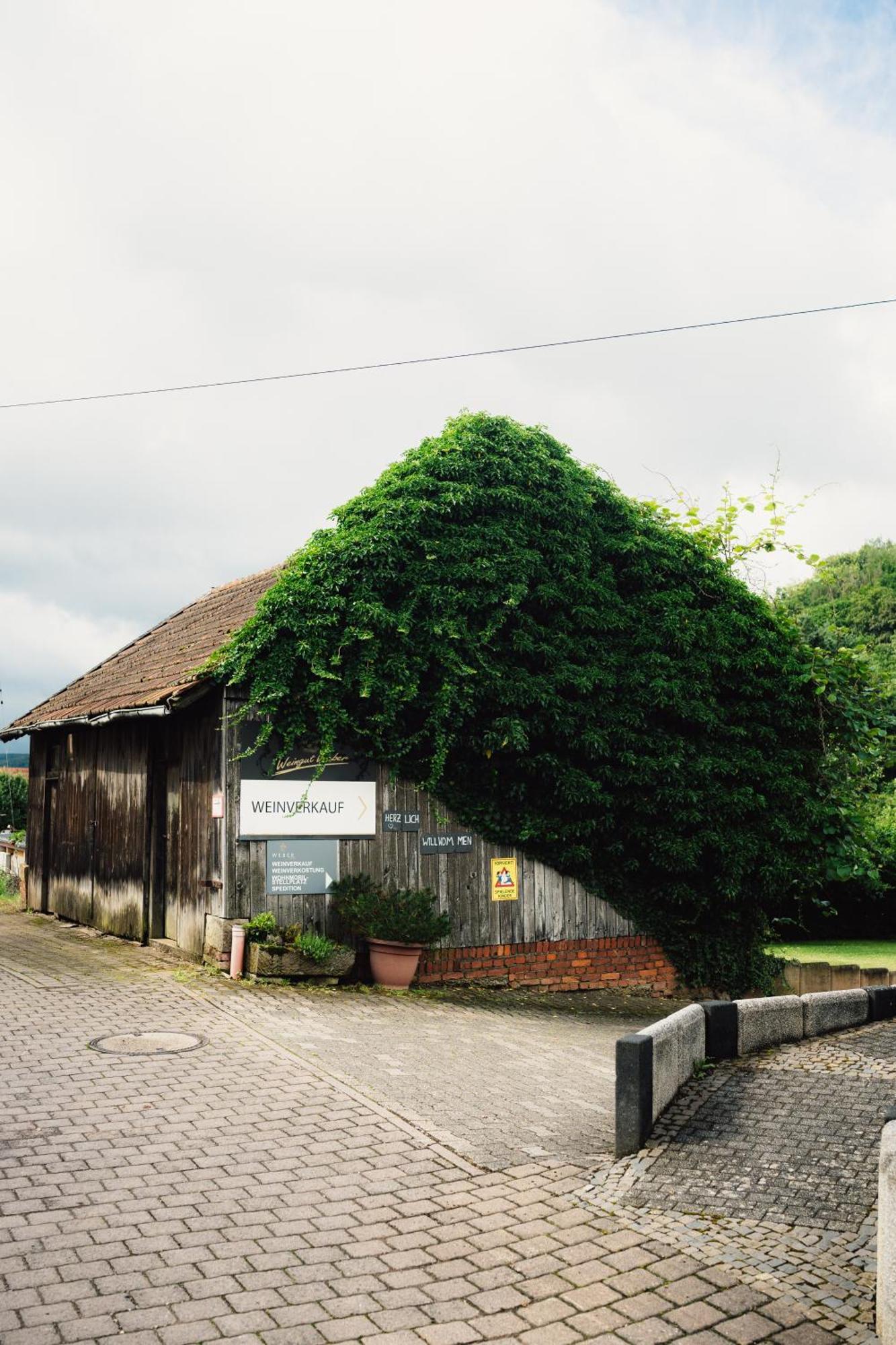 Moderne Ferienwohnung Auf Dem Weingut Monzingen Extérieur photo
