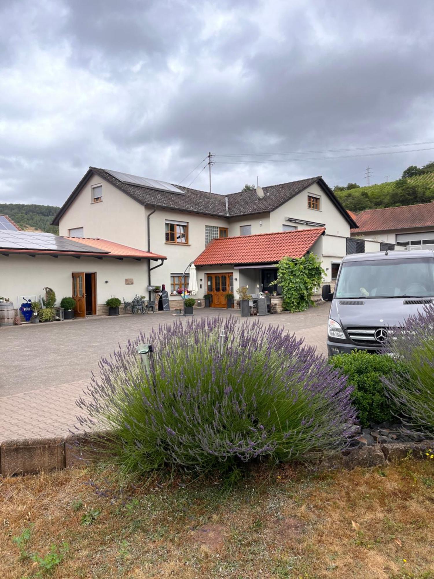 Moderne Ferienwohnung Auf Dem Weingut Monzingen Extérieur photo